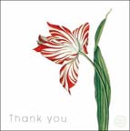 tulip_thank_you_card1239135404_260