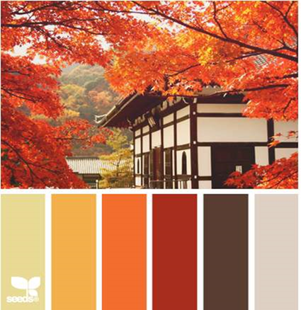 Design Seeds® for all who ❤ color autumn view - Google Chrome_2013-10-23_13-46-30-Optimized