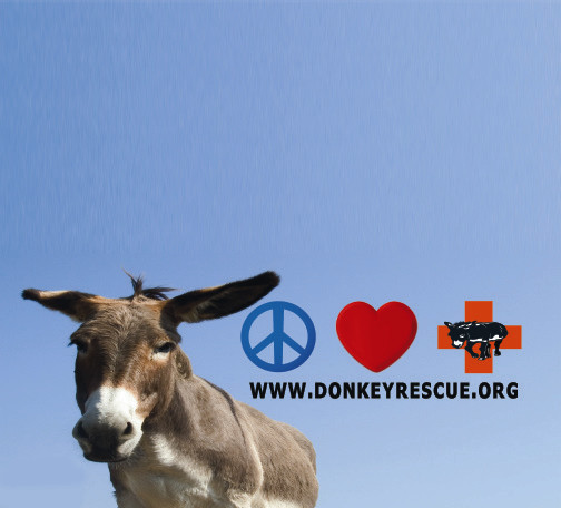 Banner printed by Peaceful Valley Donkey Rescue.