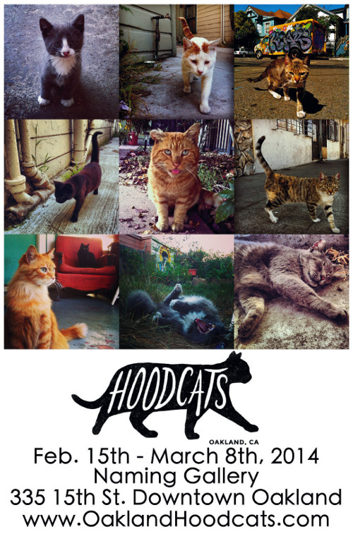 Poster for Hoodcats.