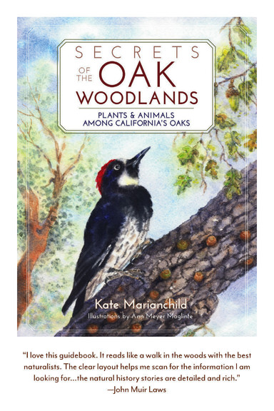 postcard-oakwoodlands