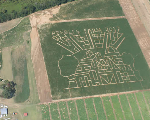 30 Amazing Cornfield Maze Designs