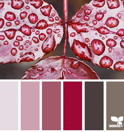 17 Thanksgiving Color Palettes - PsPrint Blog