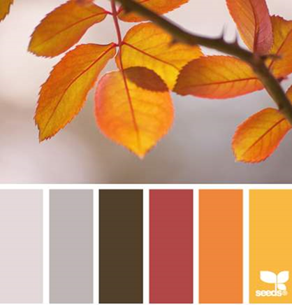 Color Set  Design seeds color palette, Color palette design