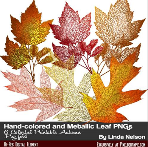 10 Thanksgiving Photoshop Freebies