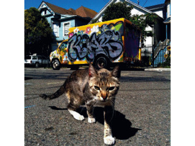 image20hoodcats