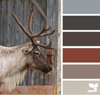 Design Seeds® for all who ❤ color caribou color - Google Chrome_2013-12-09_12-34-19-Optimized