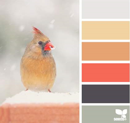 Design Seeds® for all who ❤ color winter tones - Google Chrome_2013-12-09_12-29-54-Optimized