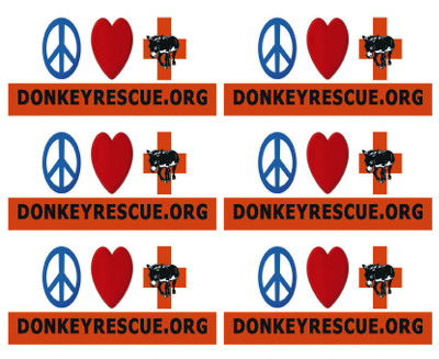 image3peacefulvalleydonkeyrescue