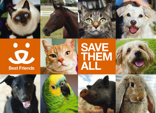 image2bestfriendsanimalsociety