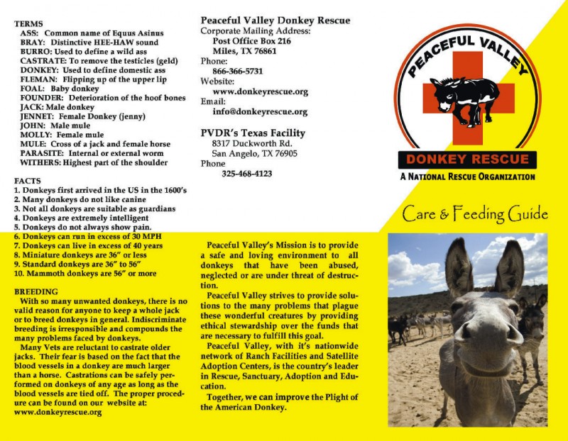 Brochure for Peaceful Valley Donkey Rescue.
