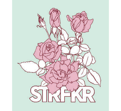 Sticker for STRFKR on Polyvinyl Record. 