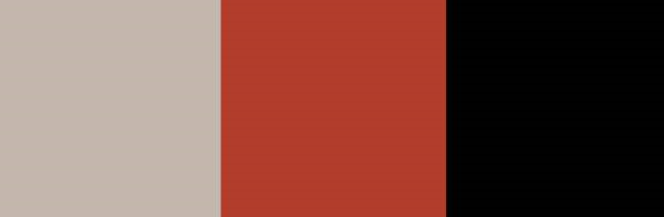 Retro BBQ color theme by wayofthevampire - Adobe Kuler - Google Chrome_2014-06-10_16-07-30