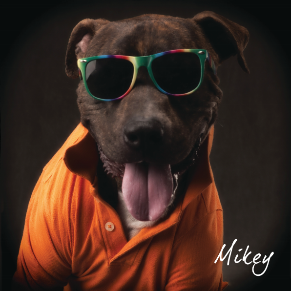 NMDog-Mikey