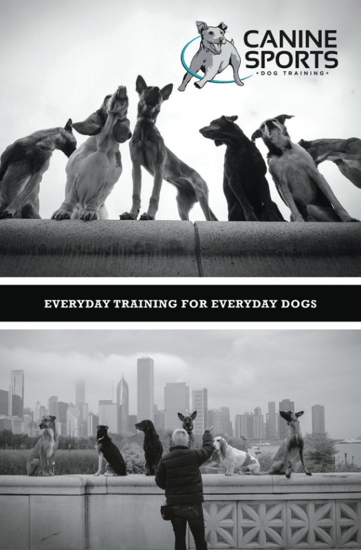 caninesports-booklet