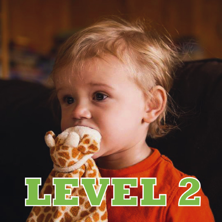 level-2-sticker