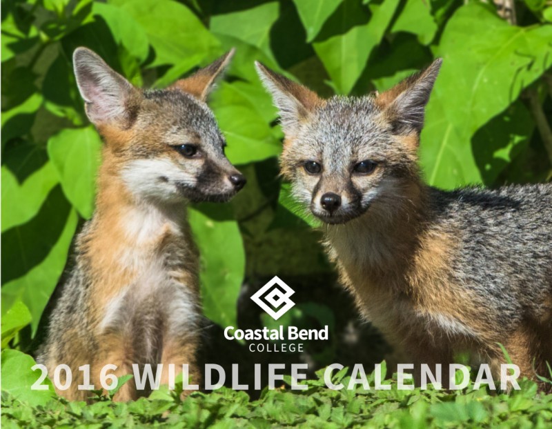 CoastalBend-calendar