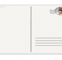 Online invitation cards save the day Online invitation cards save the day