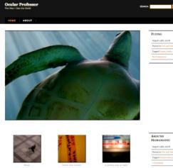 WordPress and Tumblr Themes for Designers