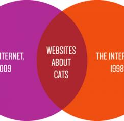 Fun Infographics and Flowcharts