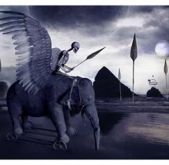 8 Amazing Elephant Designs 8 Amazing Elephant Designs