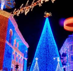 8 Best Holiday Lights Photographs Ever 8 Best Holiday Lights Photographs Ever