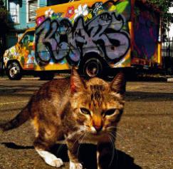 Customer Appreciation – Hoodcats