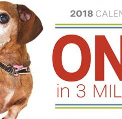 calendar printing and marketing