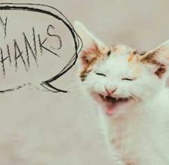 thank your customers