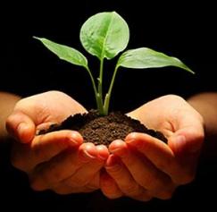 eco-friendly print marketing