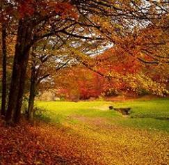 fall color palettes