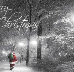 free holiday card templates
