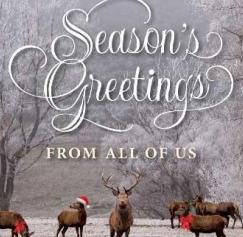 custom holiday card printing