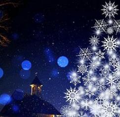 holiday card tips