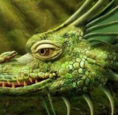 Photoshop tutorials