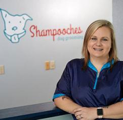 Shampooches New Branding