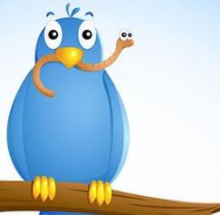 early bird summer marketing